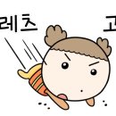 풍년정육점식당 이미지