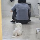 가좌정형외과의원 이미지