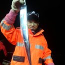 피쉬헌터 이미지