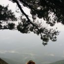 함박산목장 Daum카페