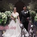 아리위드 이미지