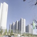 골드자이(단지내)공인중개사사무소 이미지