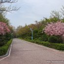 수봉공원 (망배단) 이미지