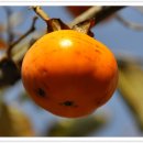 축제PC방 이미지