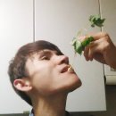 삼애식품 이미지