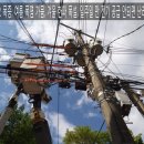 연봉농장 이미지