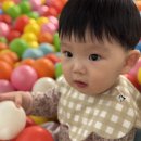 아이나무키즈 | [관악구 키즈카페] 낙성대 키카 '아이나무' 상세 솔직후기