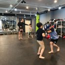 SY GYM 이미지