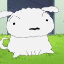 나와놀개 이미지