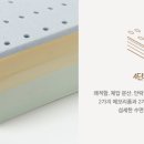 초원부영 이미지