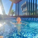 스테이더크로스 이미지