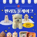 메이드알콩