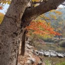 키움행정사 이미지