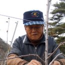 교포농장 이미지