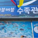 버블버블 이미지