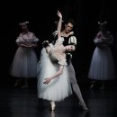 THE NEW CENTER 이미지