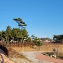 줄포만갯벌생태공원 이미지