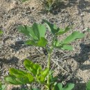 금강요양병원 이미지