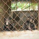 민통선농가집 이미지