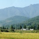 홍유상회 이미지