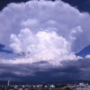 한농한의원 이미지