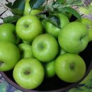 낙성농장 이미지