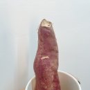 다나네일 이미지