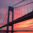 나로 in 해 이미지