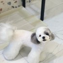 하떼하떼 이미지