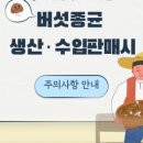 양지마을표고버섯