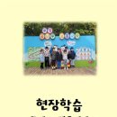 꿈나무교통나라 이미지