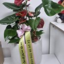 101보컬교습소