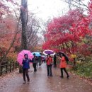 해인사우체국 이미지