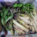 참샘농장 이미지