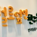 털로덮인친구들 수원매교점 이미지