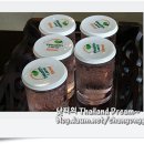헬쓰인