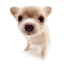 별내중앙로34 이미지