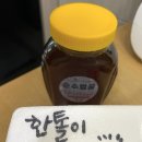 한옥달팽이민박 | 바다에서 산야에서