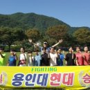 용인대 현대태권도장 이미지