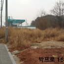 상리주유소 이미지