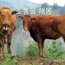 서일공인중개사 사무소 이미지