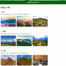 20260207 반응형(덕유산사계) 이미지