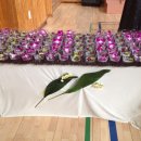 운중중학교 이미지