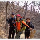 월벽타운 이미지