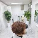 쎄븐미용실 - 성북구 정릉로27길 42 | 쎄븐미용실