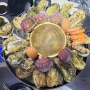 광어총각 생굴처녀 이미지