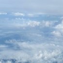 호돌이목장 이미지