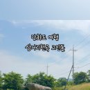 삼거리천곡고인돌 이미지