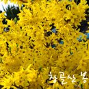 은혜 이미지