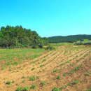 원주동원공인중개사사무소 이미지